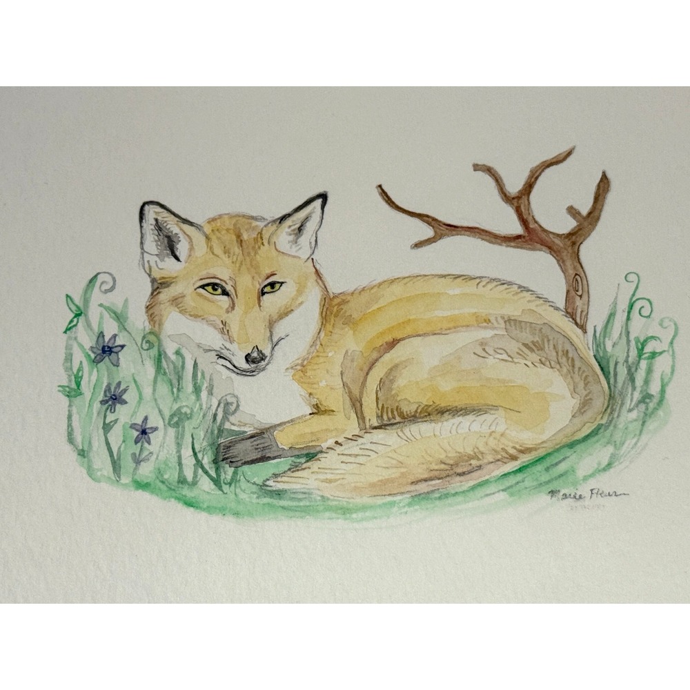 4"x6" Original Art Watercolor The‎ Comfy Fox Woodland OOAK Painting Handmade